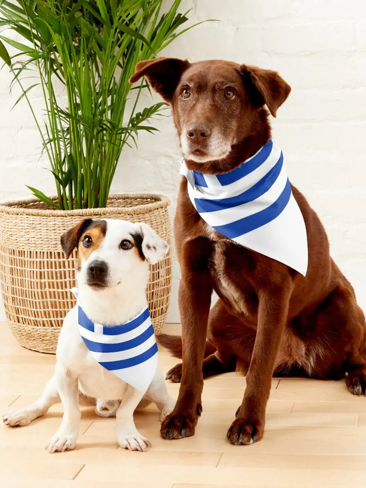 Dogs wearing bandana having Greece flag design