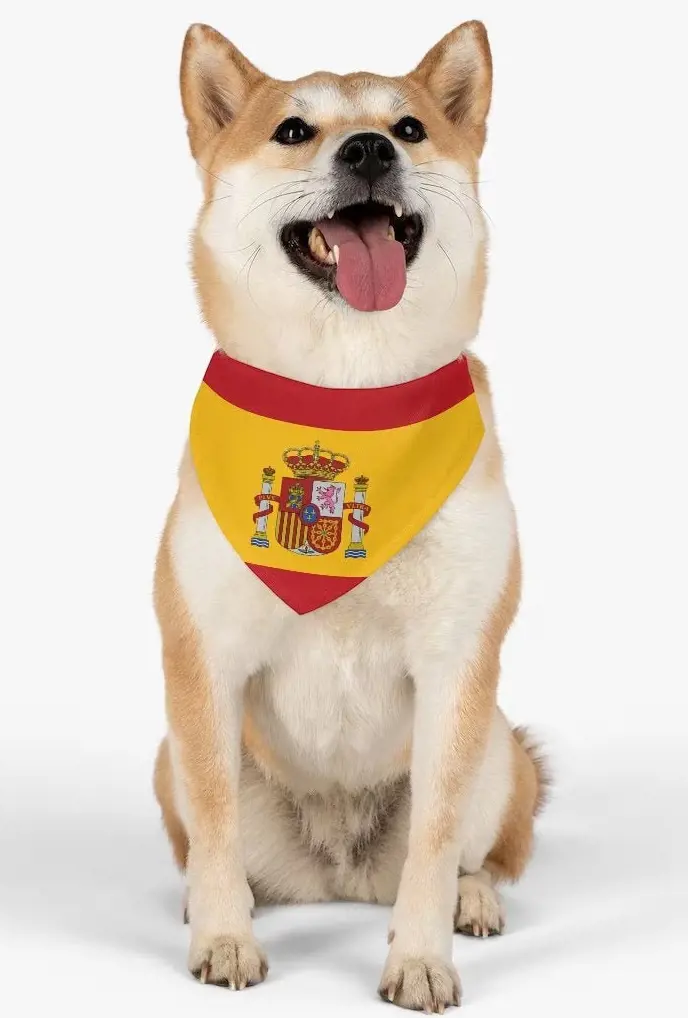 Dog wearing a Spanish flag as collar