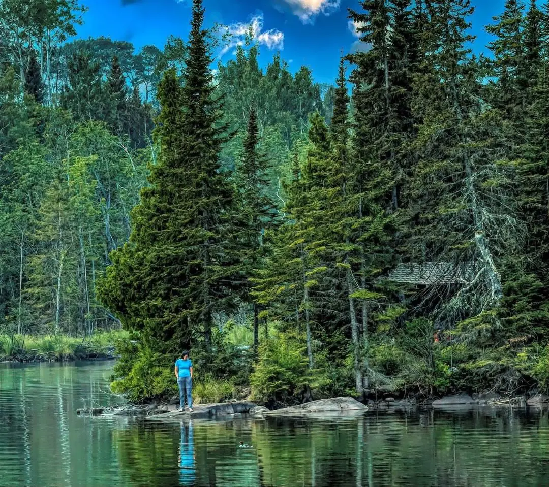 The forest area at Moskey Basin Campground in Isle Royale National Park (Photo By: Nelson Decker)