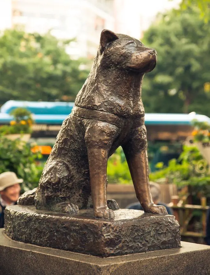 Statue of Hachiko located in Shibuya City, Tokyo, Japan