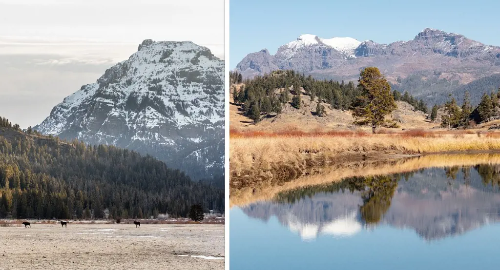 Spring at Yellowstone can be sunny, then windy and snowing, and back again in the same day. 