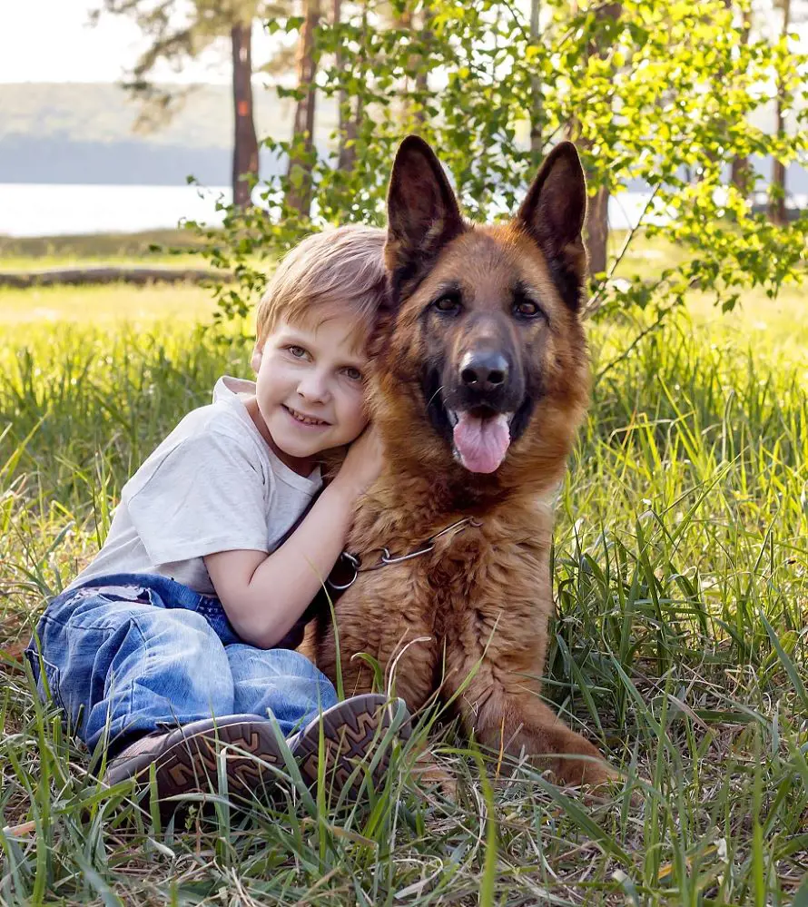 A little boy hugging his pal German Shepherd dog