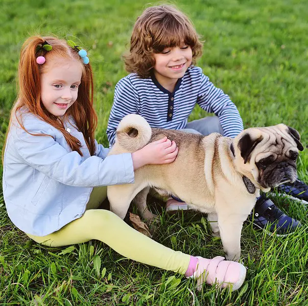 Two kids playing with pug in the garden