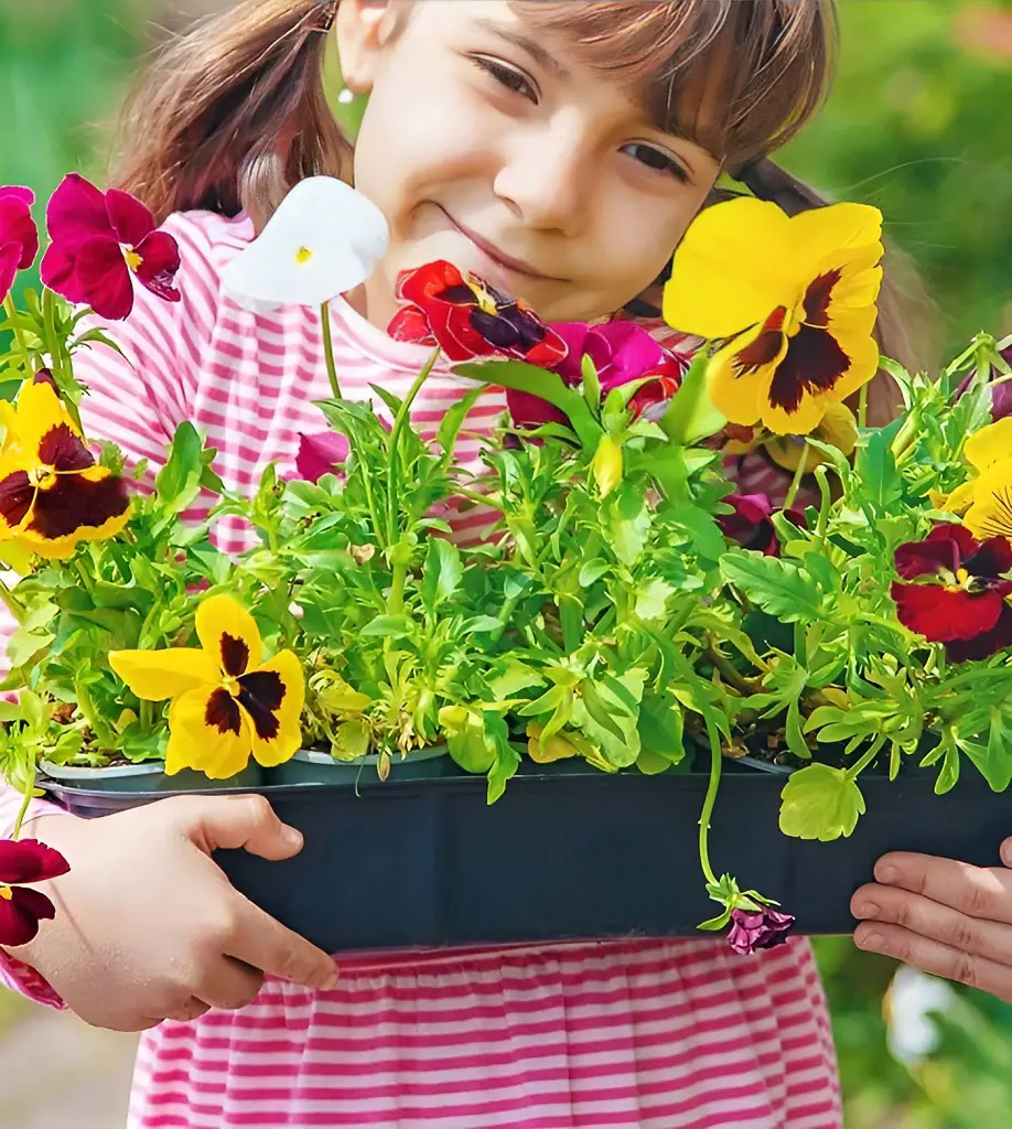 With grace and charm a lovely little girl nurtures a vase filled with blossoming pansy flowers