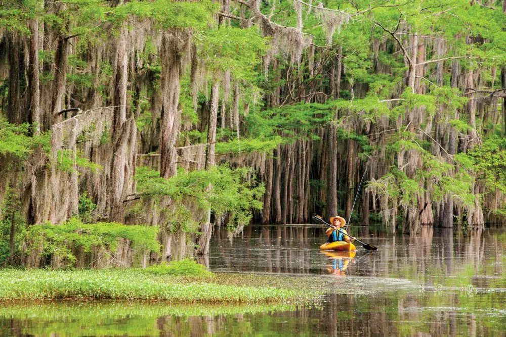 A man canoeing in Caddo Lake