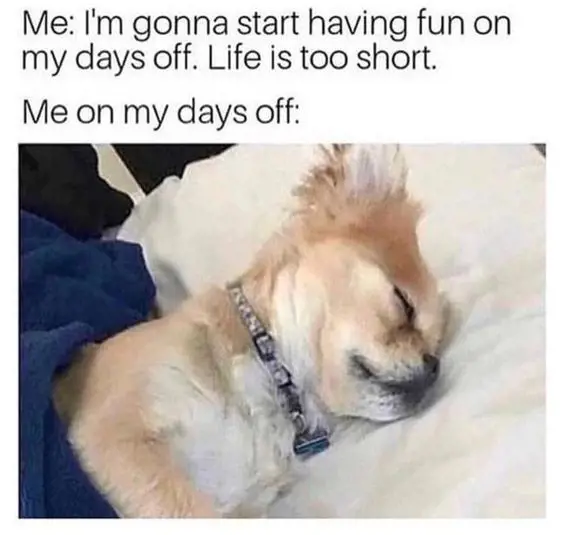 A meme relatable to Millennials about Day-off activities.