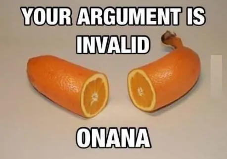 A fruit made from Banana and Orange named Onana.